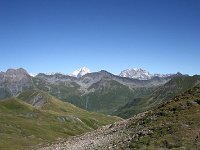 IMG 0919