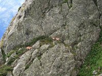 IMG 1134