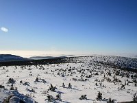 IMG 0243