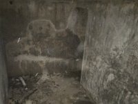 IMG 1218