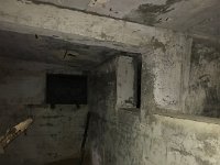 IMG 1220