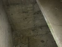 IMG 1221