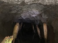 IMG 1236