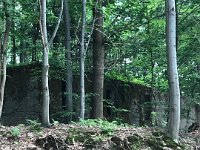 IMG 1251