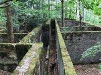 IMG 1253