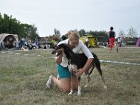 DSC 4941
