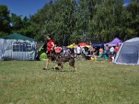 DSC 3664