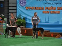 DSC 7874