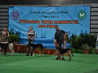 DSC 7875