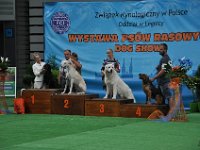 DSC 7878