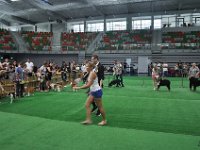 DSC 7883