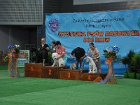DSC 7885