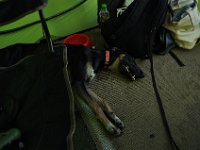 DSC 7523