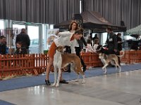 DSC 0102