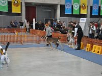 DSC 0113