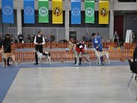 DSC 0368