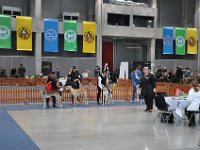 DSC 0386