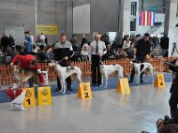 DSC 0500