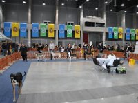 DSC 0515