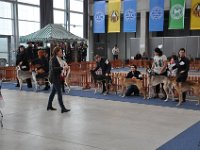 DSC 0570