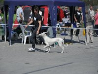 DSC 6028