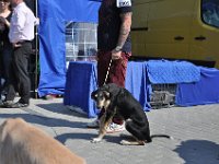 DSC 6041