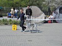 DSC 6057