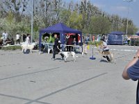 DSC 6070