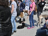 DSC 6167