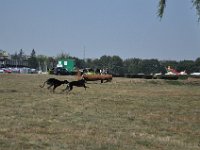 DSC 8090