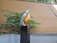 DSC 8251