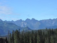 DSC 4538